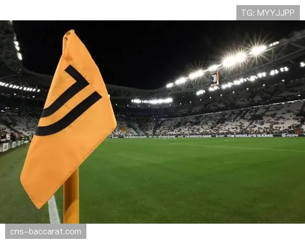 特写：安联球场在欧冠比赛日如何实现全场的塑料杯回收与即时处理